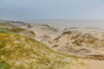 Fototapeta na wymiar Winters dune landscape Dutch coast with by autumn storms deep carved out wind holes against a background with dense fog
