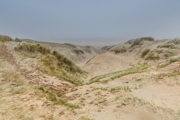 Dune landscape in the winter at Dutch coast with by autumn storms deep carved out  wind holes against a background with dense fog