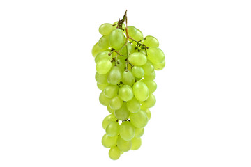 White bunch of grape on isolated white background