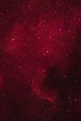 The North America Nebula in the constellation Cygnus as seen from Stockach in Germany. © David Hajnal