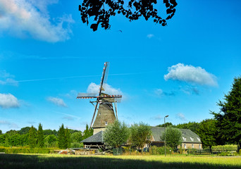 Countryside landscape with traditional Dutch grain mill and farmers house in sunny summer day © barmalini