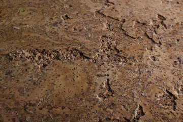 Cork treebrown background