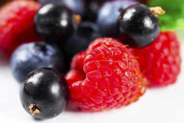 Close-up arrangement mixed, assorted berries including blackberries, strawberry, blueberry, raspberries and fresh leaf on white