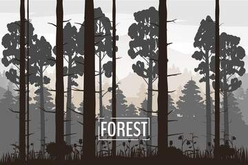 Forest landscape minimalistic illustration. Pines trees silhouettes. Nature scene. Realistic color background with silhouettes, trees, pine, fir, nature, hills, grass and flowers, environment, horizon