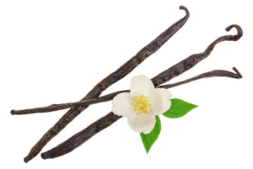 Vanilla sticks with flower and leaf isolated on white background. Top view. Flat lay