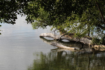 Idylle am Pl&ouml;ner See