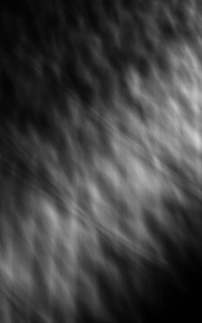 Webbed Shadows