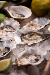 Oysters on crushed ice close up