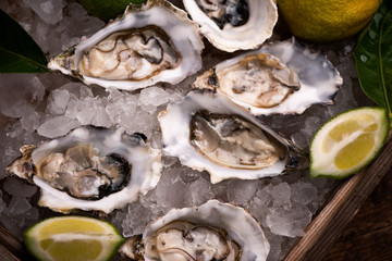 Oysters on crushed ice close up