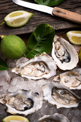 Oysters on crushed ice close up