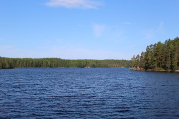 Лес и озеро