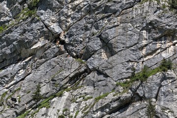 Beds of Triassic limestone at the Steinerne Platte area in Austria