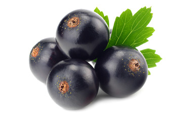black currant with green leaf isolated on white background. macro
