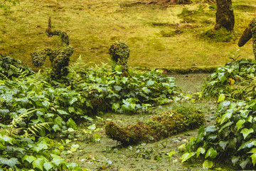 Plant animal sculptures on a garden in Sao Miguel Azores island. Natural bird sculptures and a crocodile.