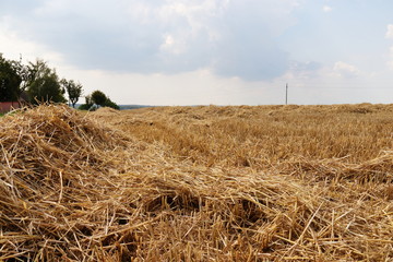 Stroh auf Feld