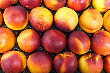Red-yellow nectarines in a drawer on the table