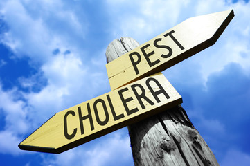 Pest, cholera - wooden signpost - obrazy, fototapety, plakaty