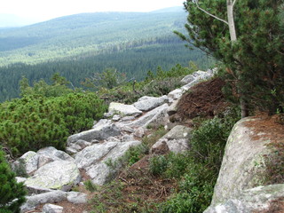 mountains