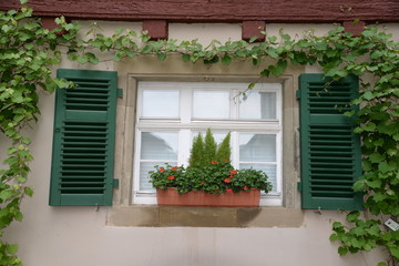 Fototapeta na wymiar Blumenfenster in Schwäbisch Hall