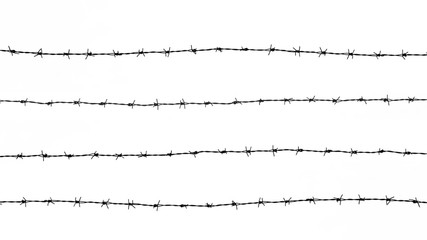 silhouette of the barbed wire on white background