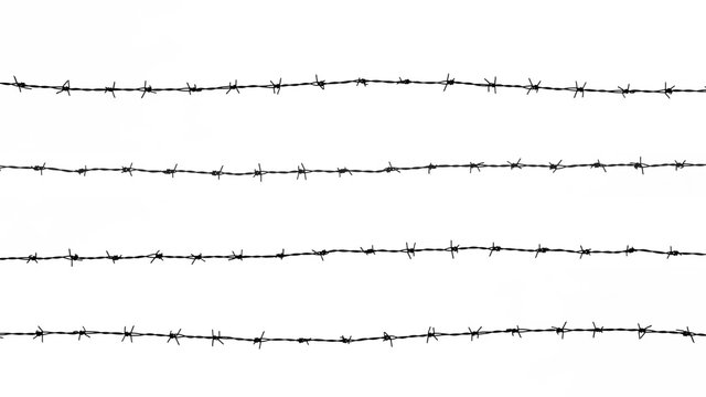 silhouette of the barbed wire on white background