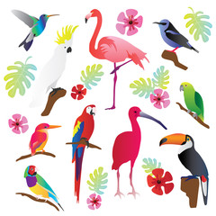 Tropical birds vector illustration collection set. Colorful and exotic nature. Parrot, toucan, macaw flamingo and other flying creatures. Green decorative leaves.