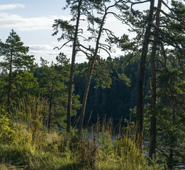 Trees on the steep rocky shore of the lake
