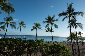 Fototapeta na wymiar Hawaii Waikiki Beach