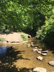 Forest stream