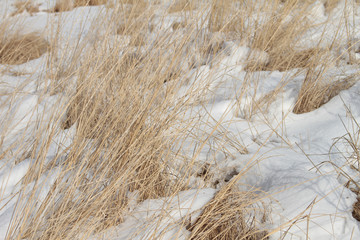 Great Salt Lake Landscapes