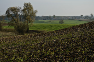 Fototapeta na wymiar wiejski krajobraz