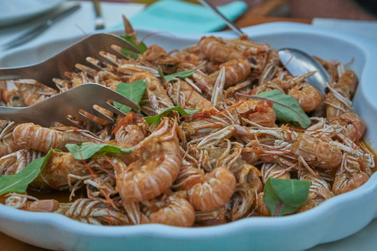 Scampi Busara
