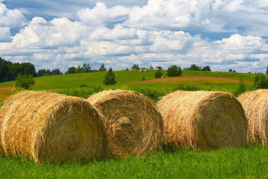 Straw roll on a green field with a beautiful sky.