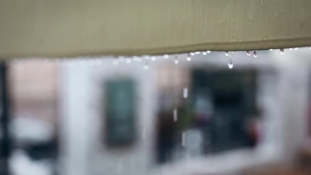 Color footage of some rain drops falling.