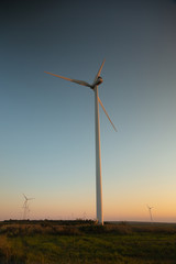 Fototapeta na wymiar Wind mill on a field during warm sunrise light. Summer day. Green eco friendly energy source. Copy space