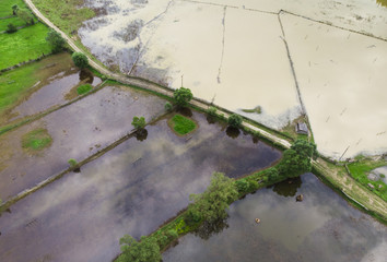 aerial view of flooded garden with water