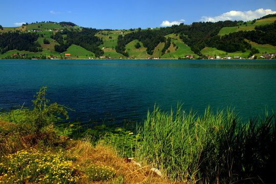 Colorful landscape of the glacial lake Aegeri in the Canton of Zug, Switzerland