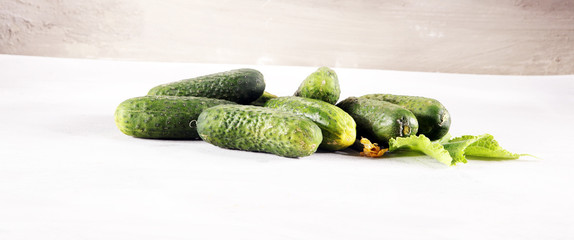 Fresh green cucumber with leaf and flower natural vegetables organic food