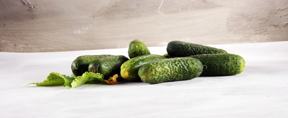 Fresh green cucumber with leaf and flower natural vegetables organic food