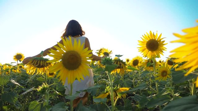 Happy little girl running happy free across the field with sunflowers. slow motion video. smelling big sunflower on summer field. Delight of a pleasant smell. Summer holiday. concept happiness