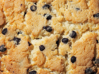 Chocolate chip cookies texture background. Sweet biscuits. Fresh baked background, surface vanilla cookie with chocolate crumbs, close-up - obrazy, fototapety, plakaty