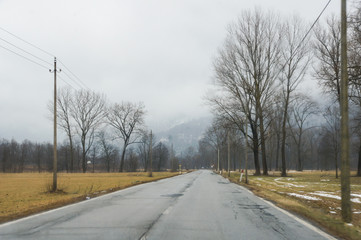 Spring rural road.