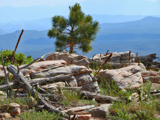 Fototapeta na wymiar Scenic View on Mogollon Rim near Woods Canyon Lake
