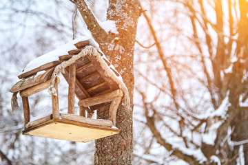 Homemade bird feeder. Helping birds in winter