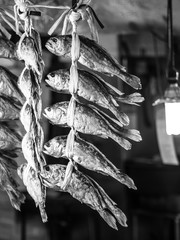 dried fish 33
