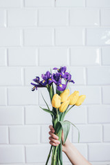 Female hand holding beautiful iris and tulips