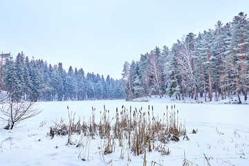 Frozen lake in snowy forest. Winter landscape