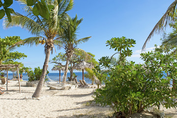 Fototapeta na wymiar palm trees and white sand on a tropical island.