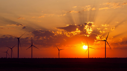 Wind generators on sunset background