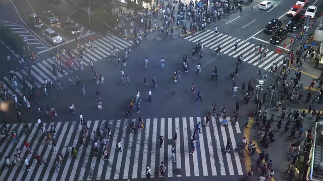 High Angle Time Lapse Shot of the Famous Shibuya Pedestrian Scramble Crosswalk with Crowds of People Crossing and Traffic. Evening in the Big City.